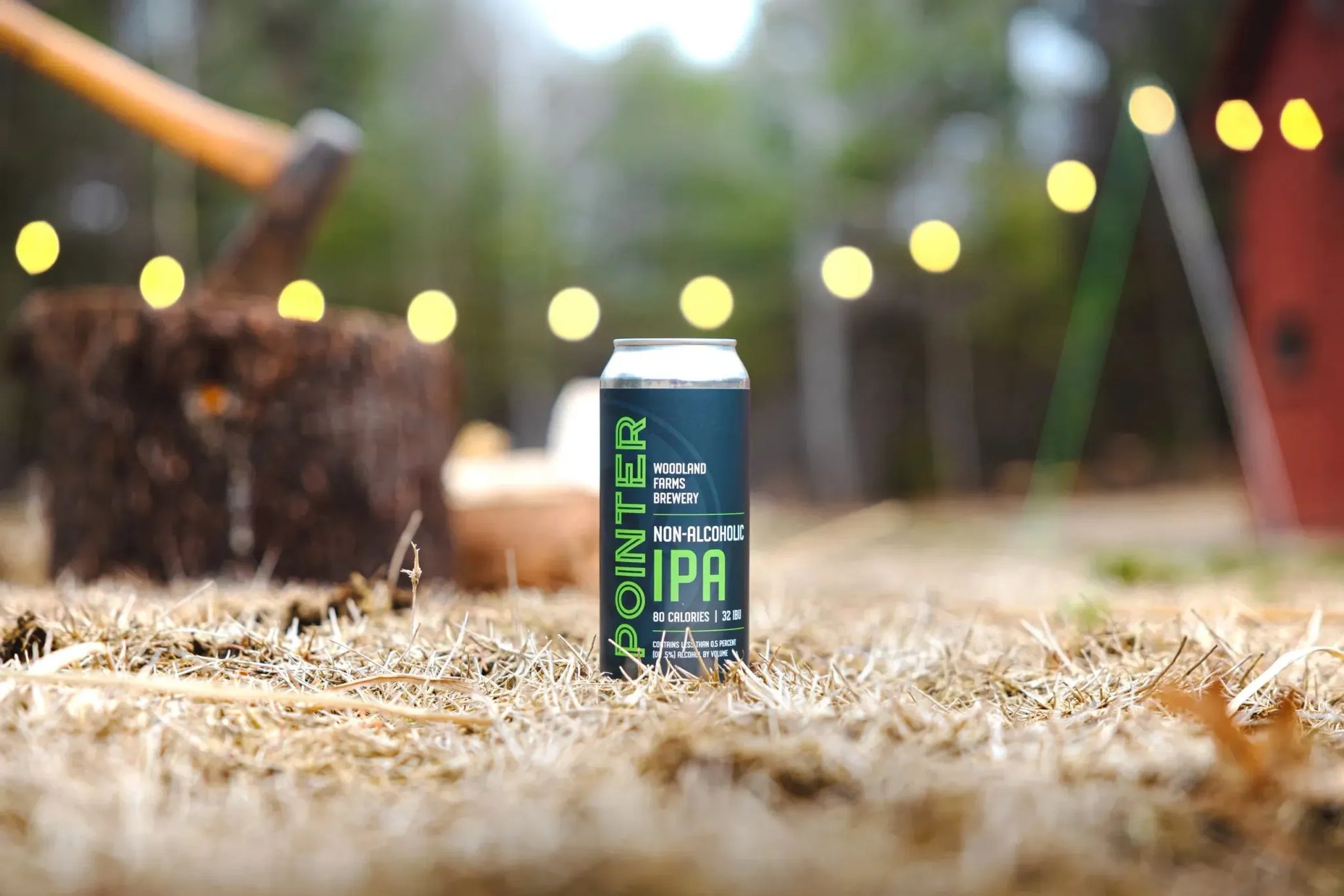 Can of Pointer Non-Alcoholic IPA on a rustic background with blurred lights