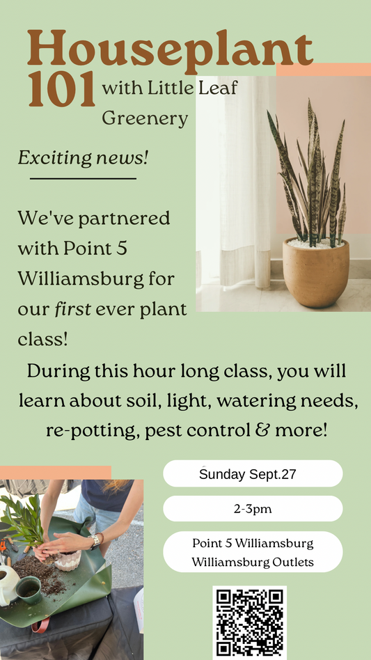 Promotional flyer for 'Houseplant 101 with Little Leaf Greenery' featuring a light green background, text about a partnership with Point 5 Williamsburg for a plant class, a photo of a potted snake plant, a small gardening activity photo, and a QR code.